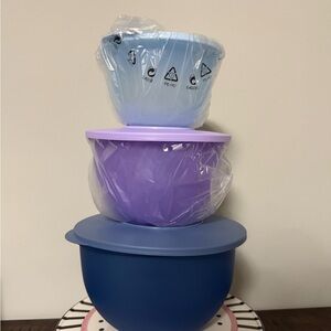 Tupperware Set in Light Blue, Purple, and Dark Blue